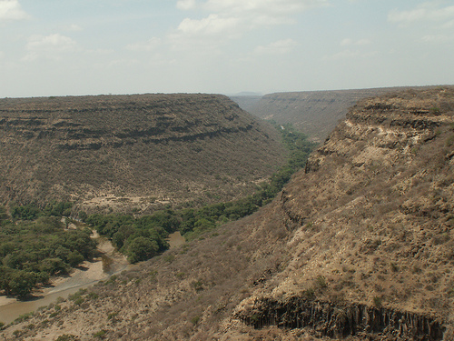 Awash National Park